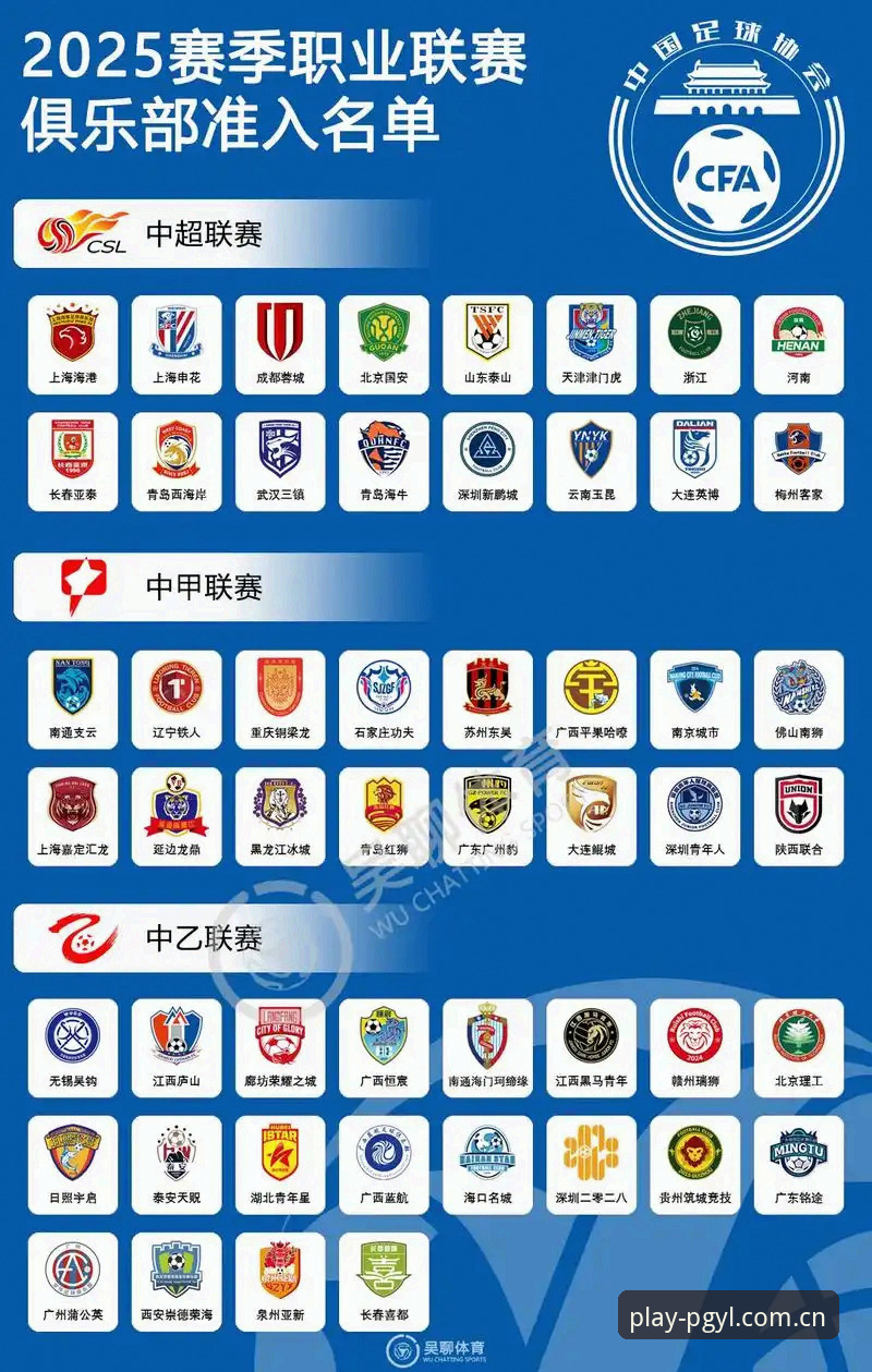 PG电子官网下载对比 资深用户分享:从足协禁足名单看中国足球的“阵痛”与“新生”实战经验